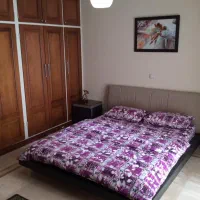 ۲۶۵ متر زمین کلنگی بر ۲۲ جنوبی زعفرانیه|فروش زمین و ملک کلنگی|تهران, زعفرانیه|دیوار