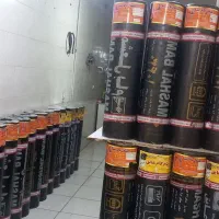 ایزوگام شهبازی