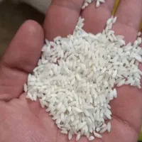 برنج عنبر بو درجه یک امسال