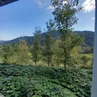 ویلای کوهستانی جنگلی|فروش خانه و ویلا|احمدسرگوراب, |دیوار