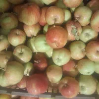 سیب درجه دو خوشمزه وابدار