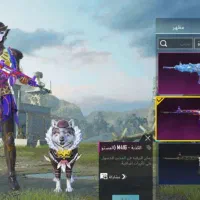 اکانت پابجی مفت لازم ندارم|کنسول، بازی ویدئویی و آنلاین|سیستان, |دیوار