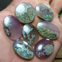 مجموعه ۷عددی  شجر شکوفه فردوس