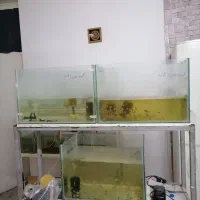 اکواریوم سالنی باپایه ماهی سیچلاید پرت  سه طبقه