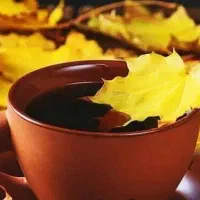 سرگرمی با چوب