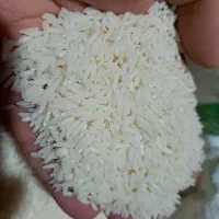 برنج هاشمی درجه یک محلی