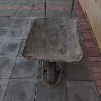 فرغون