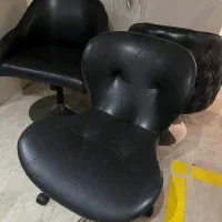 فروش صندلی  کوپ  ورنگ چستر دو ممانیزه دلیل مهاجرت