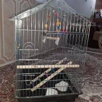 قفس پرنده