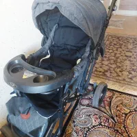 کالسکه مارک دلیجان