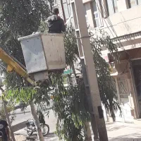 گل کاری و باغچه سازی وهرس