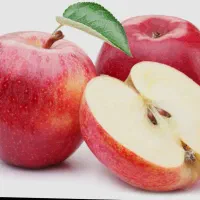 میوه و تره بار