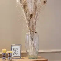 انواع پر طاووس