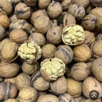 گردو|خوردنی و آشامیدنی|تهران, پرستار|دیوار