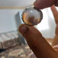 انگشترنقره عقیق و شجر|جواهرات|سنندج, |دیوار