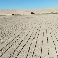 نصاب طرح آبیاری نواری