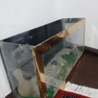 آکواریوم|ماهی|مریوان, |دیوار