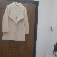 پالتو نو نو