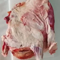 قصابی|خوردنی و آشامیدنی|تربتحیدریه, پائین ولایت|دیوار