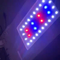 آکواریوم ساید سامپ همراه با نور مخصوص
