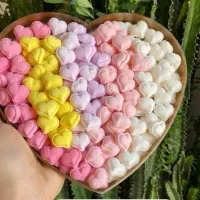 قند ونبات دمنوشی فانتزی