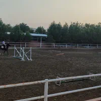 جذب نیروی کارگر باشگاه سوارکاری