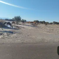 سفرهای درون شهری وبرون شهری