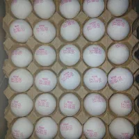 تخم مرغ عمده