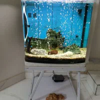 آکواریوم زیبا