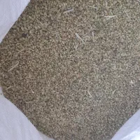 فروش‌ بذریونجه