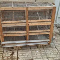 قفس بلدرچین