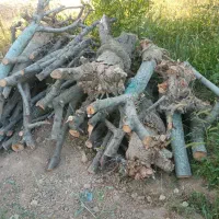 فروش چوب