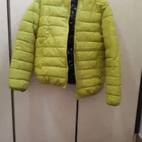 پالتو و کاپشن|لباس|ابریشم, |دیوار