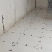 بنا صفکار *کاشیکاری *موزاییک کاری*سیمانکاری نما و