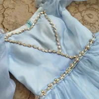 پیراهن مجلسی و عروسکی کار شده پرنسسی|لباس|گلستان (تهران), |دیوار