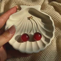 اکسسوری بدلیجات