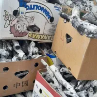 زغال|عمدهفروشی|کشکوئیه, |دیوار