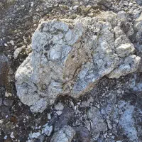 فروش محدوده باریت پروانه اکتشاف|عمدهفروشی|شاندیز, |دیوار