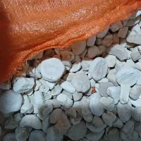کشک|خوردنی و آشامیدنی|زاغه, |دیوار