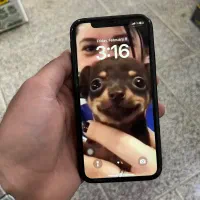 ایفون xr|موبایل|نقده, |دیوار