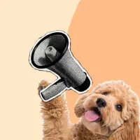 سگ پیدا شده اصفهان