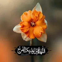 اپارتمان۱۶۰امامت صفر