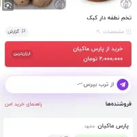 تخم|حیوانات مزرعه|کوهدشت, |دیوار