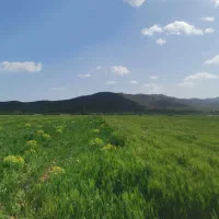 استخدام آبیار