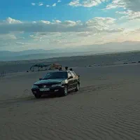 پژوپارس مدل ۸۱