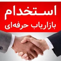 ویزیتور فروشگاه زنجیره ای