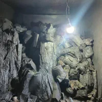 زغال کبابی|عمدهفروشی|بجنورد, |دیوار