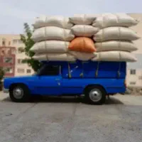 کاه نخود
