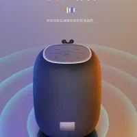 اسپیکر مدلBX-300 به صورت تکی وعمده|پخشکننده همراه|بانه, |دیوار