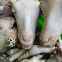 پاک کردن‌کله پاچه